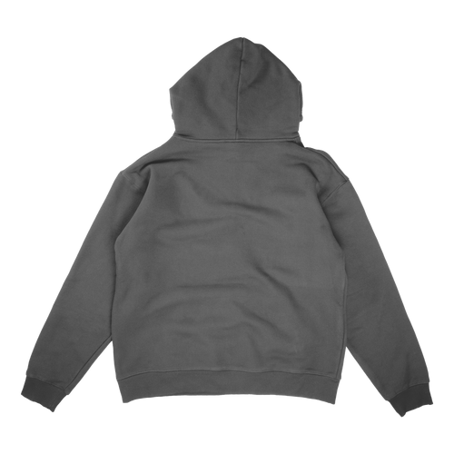 BRATZ RIDDIM HOODIE - GRAY