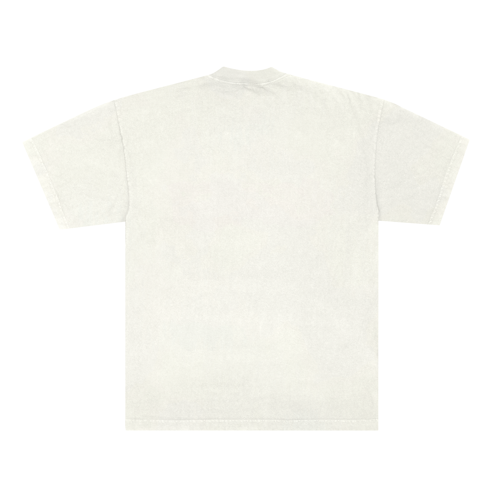 CRASH BANDICOOT ANNIVERSARY TEE - VINTAGE WHITE